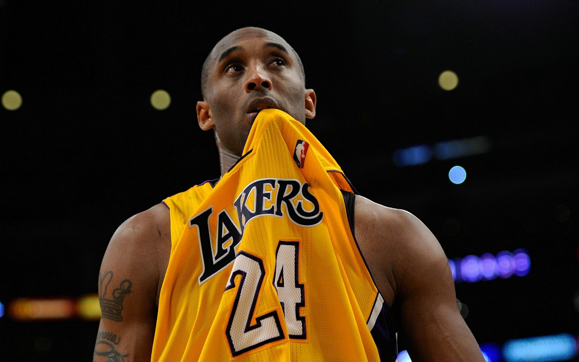 带来的多重 带来的多重