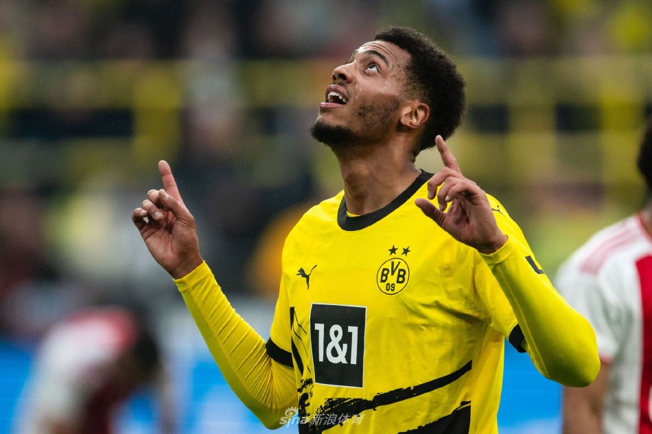 另一部分球 另一部分球